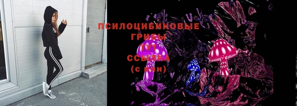 трава Белокуриха