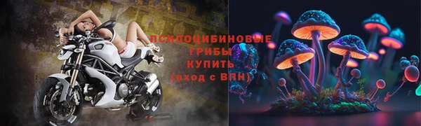 трава Белокуриха