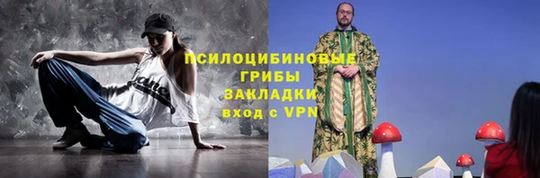 трава Белокуриха