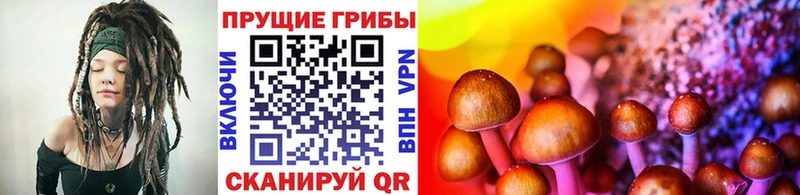 купить   Шебекино  Галлюциногенные грибы мухоморы 